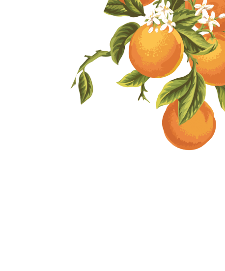 Oranges!